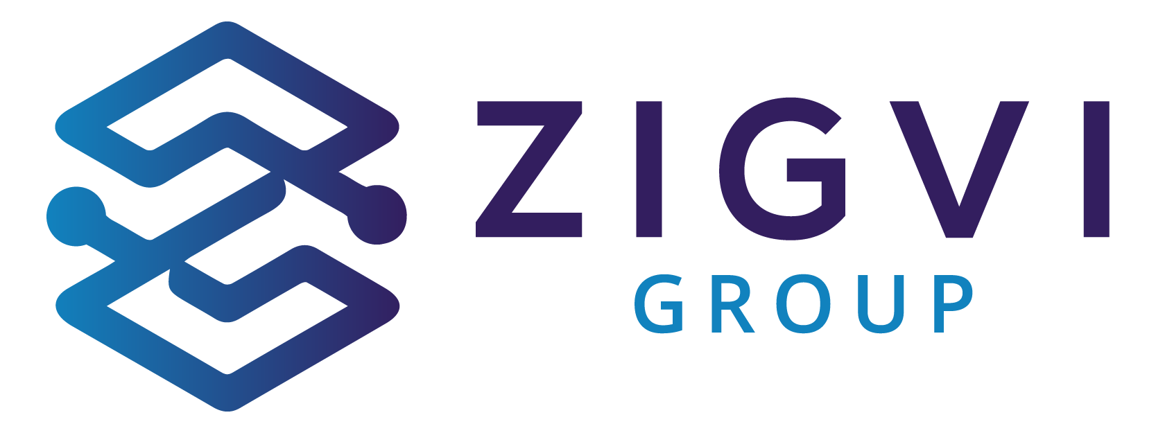 Zigvi: Your IT Consulting Partner 